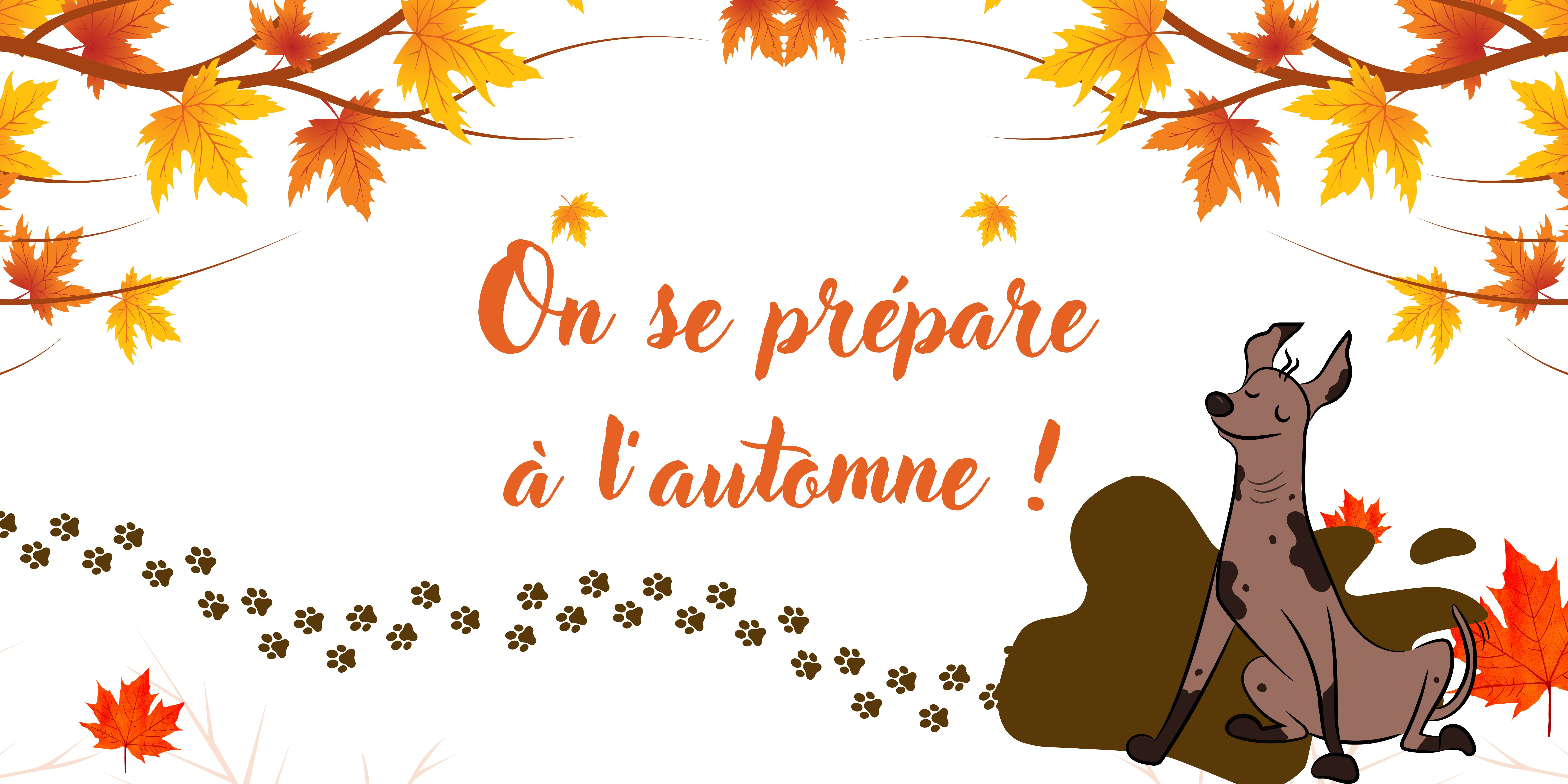 On prépare l’automne ! 